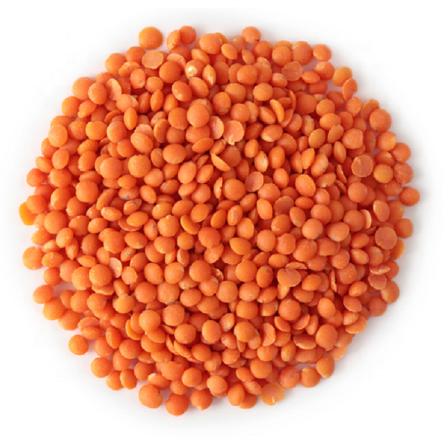 Wholesale Price Canadian Red Lentils / Split Red Lentils Available For Sale At Low Price, Fresh Red Lentil for Brazil Bulk