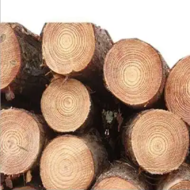 European Walnut Logs and timber for sale/France high density and EUROPEAN WHITE BIRCH LOG