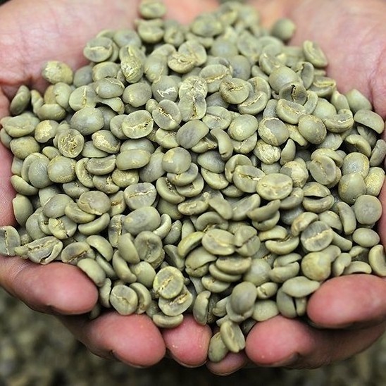 Coffee Beans YUNNAN Arabica Coffee Beans Raw Coffee Bean