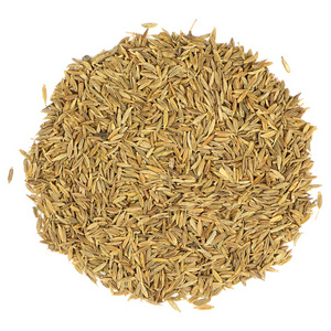 High quality black cumin seeds / green cumin seeds