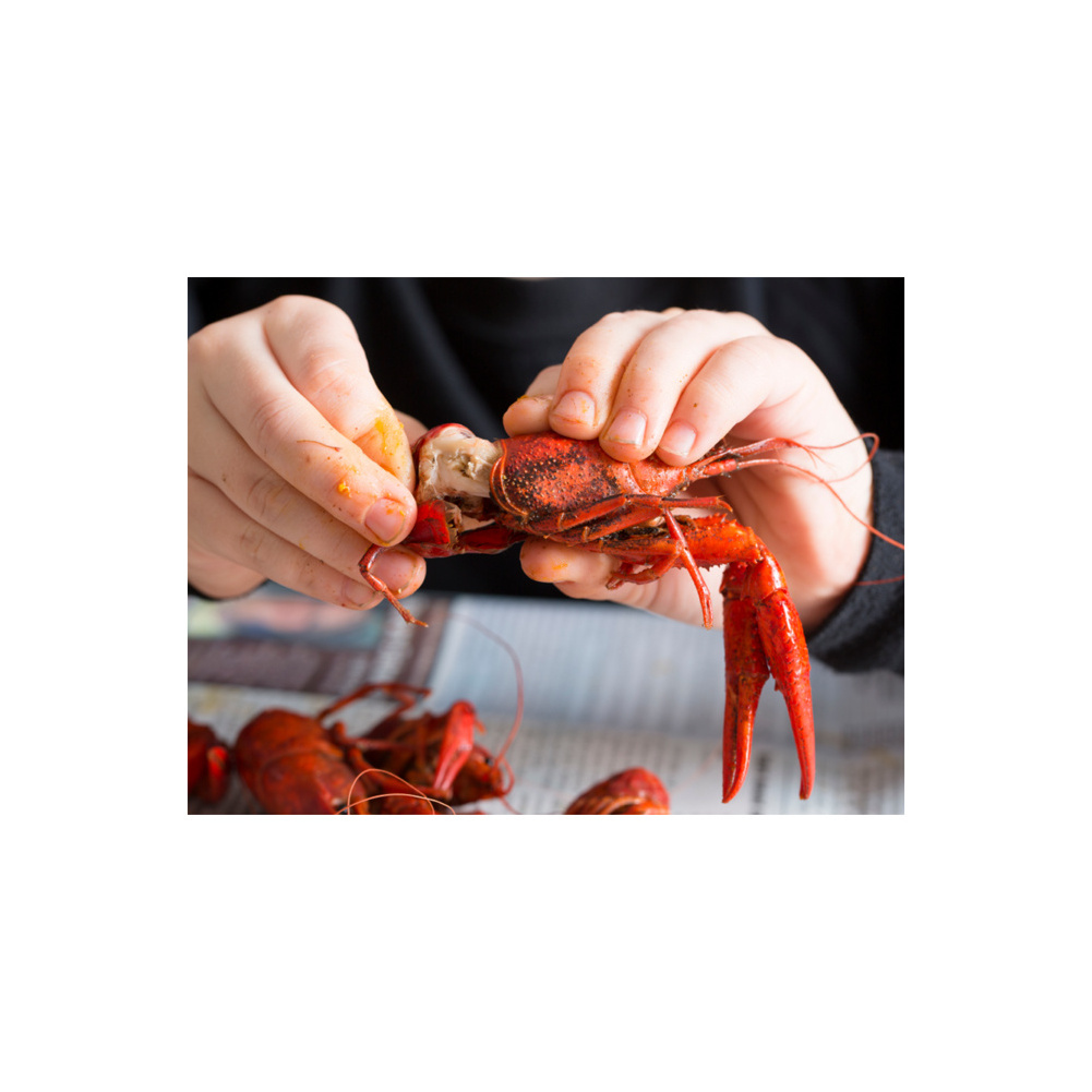 Cheap Price Frozen Fresh Shrimp/Seafood/Black Tiger Prawn