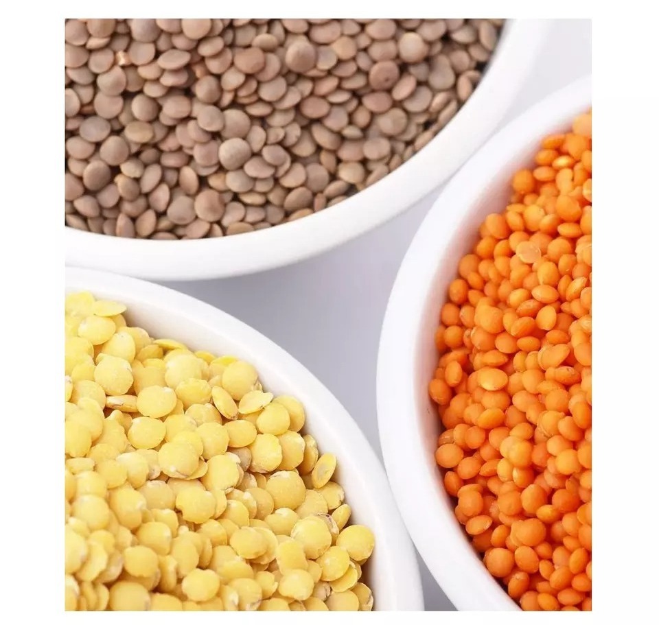 Wholesale Supplier Lentils For Sale In Reasonable Price Premium Quality Best price export green red Lentils( Masoor Dal