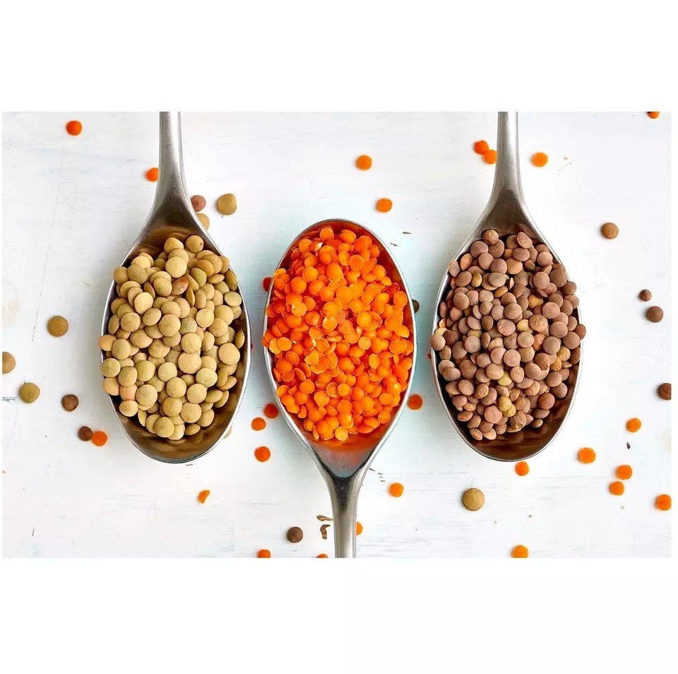 Wholesale Supplier Lentils For Sale In Reasonable Price Premium Quality Best price export green red Lentils( Masoor Dal