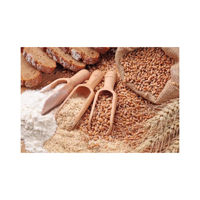 WHEAT BRAN FOR ANIMAL FEED - Best Price and Quality Wheat bran Available For Sale