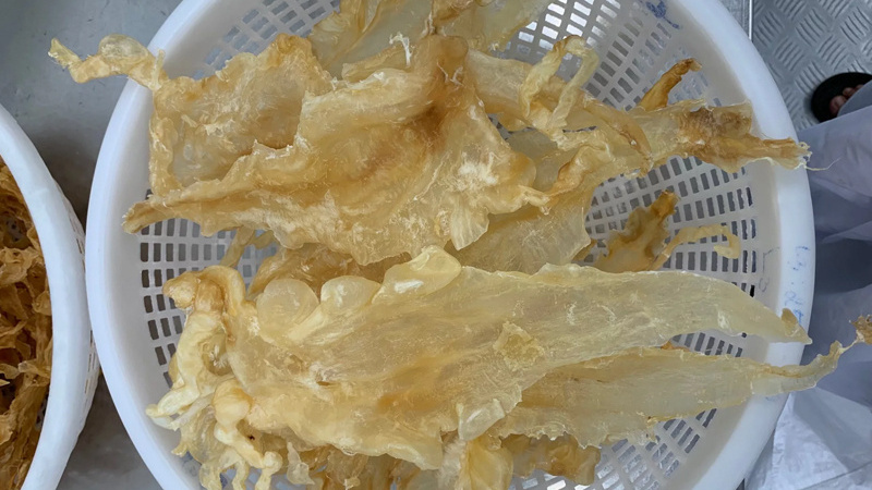 Competitive Price Rich Taste Fish Maw Swim Bladder From Vietnam Swim Bladder Fish Maw For Soup