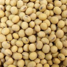 Top Brazilian / Non Gmo Soybeans / Soya Beans, Soy bean Seeds and Soya bean Seeds