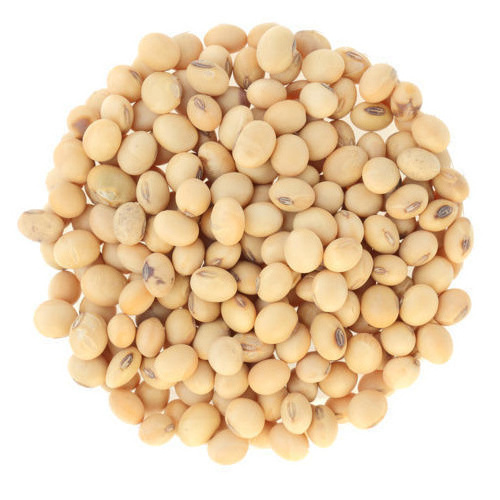 Top Brazilian / Non Gmo Soybeans / Soya Beans, Soy bean Seeds and Soya bean Seeds