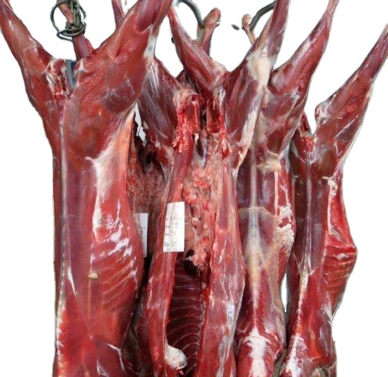 High Quality / Top Brazilian / Wholesale Halal Frozen Lamb/ Sheep/ Mutton Meat