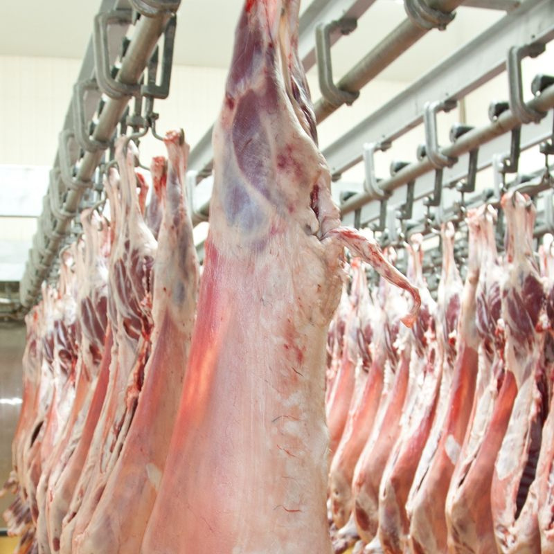 High Quality / Top Brazilian / Wholesale Halal Frozen Lamb/ Sheep/ Mutton Meat