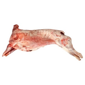 Top Brazilian / WHOLE BODY HALAL FRESH / FROZEN GOAT / LAMB / SHEEP MEAT / CARCASS OR SALE.