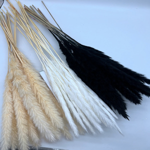 wholesale wild dried natural fluffy small pampas grass home wedding hotel shop decorative white black small pampas grass