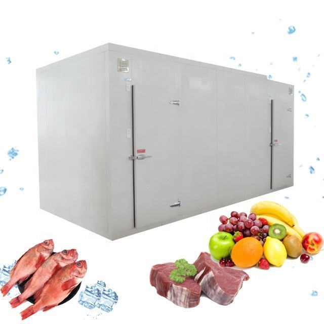 Cold Room Freezers Cold Storage Room With Insulation Panels And Refrigeration Equipments Condensing Unit Fan Cooling