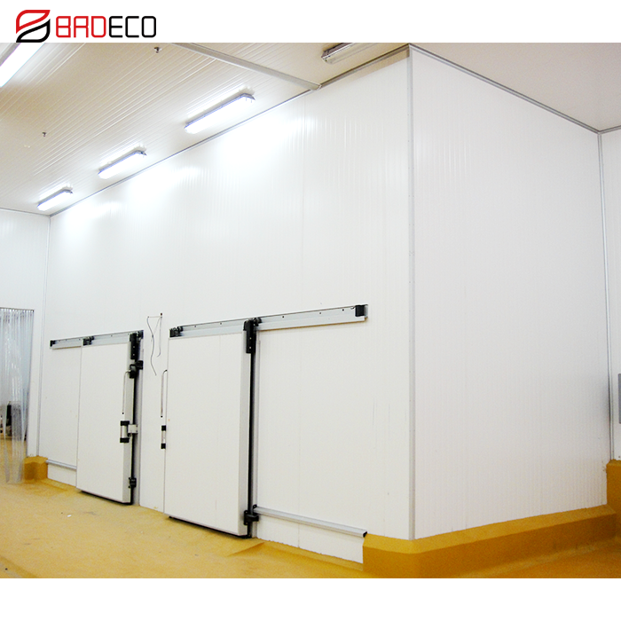 Manufacturer Price Prefabricated Automatic Cooling PU Cold Storage Room