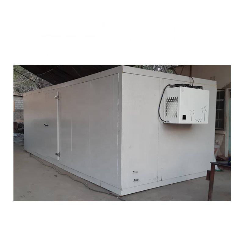 Cold Room Freezers Cold Storage Room With Insulation Panels And Refrigeration Equipments Condensing Unit Fan Cooling