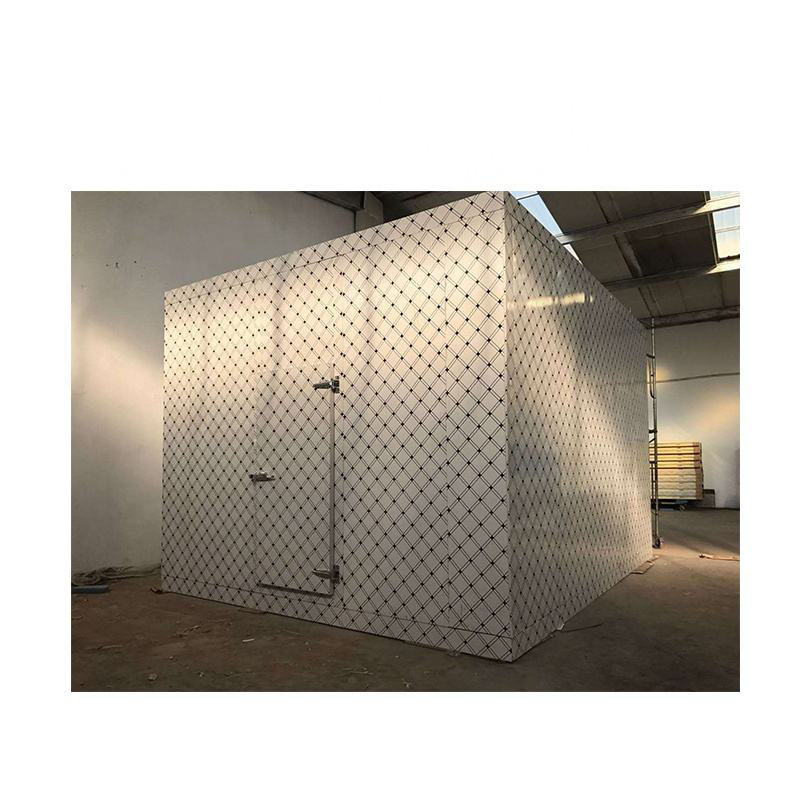 Cold Room Freezers Cold Storage Room With Insulation Panels And Refrigeration Equipments Condensing Unit Fan Cooling