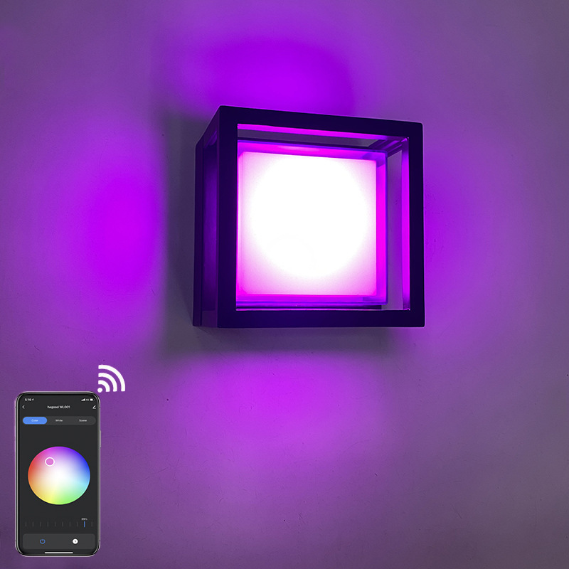 Tuya Outdoor Wall Light Smart LED Wall Light For Outdoor RGB LED Wall Light