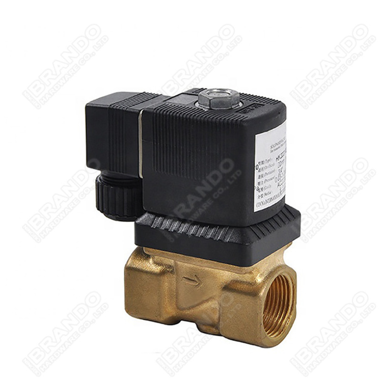 AC220V AC24V DC12V DC24V 6213 Series DN13mm 3/4'' Servo-assisted 2/2-way diaphragm valve