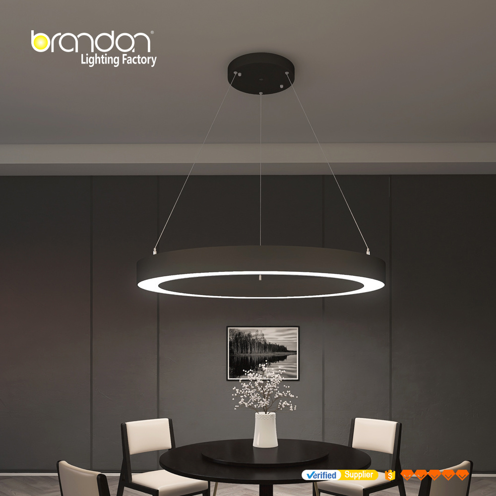 BRANDON Lampara Colgante commercial Hanging Lamps Lighting Led Decorative Chandeliers Lamps Pendant Light office shop light