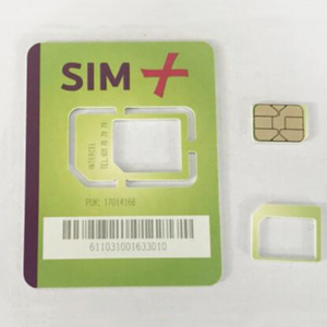 Small Size Customized Programmable SIM Card Smart LTE 4G Half Card