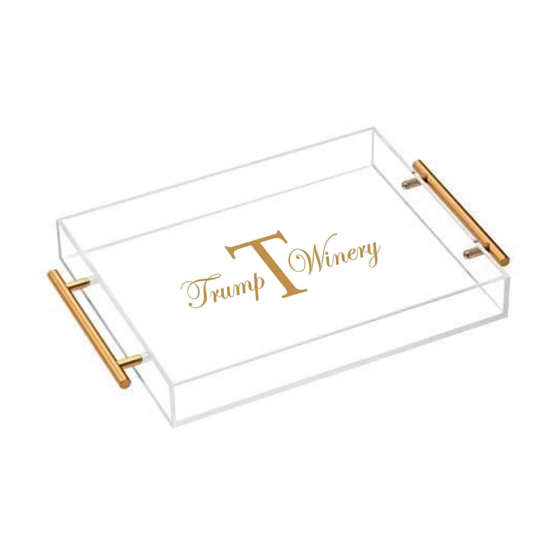 Multi Function Clear Plexiglass Acrylic appetizer serving tray with handles acrylic cash tray