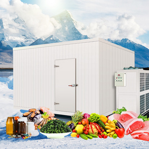 20Ft Mobile Cold Room Refrigeration Unit Cold Room Panel Solar Cold Room For Fish Meat Vegetable