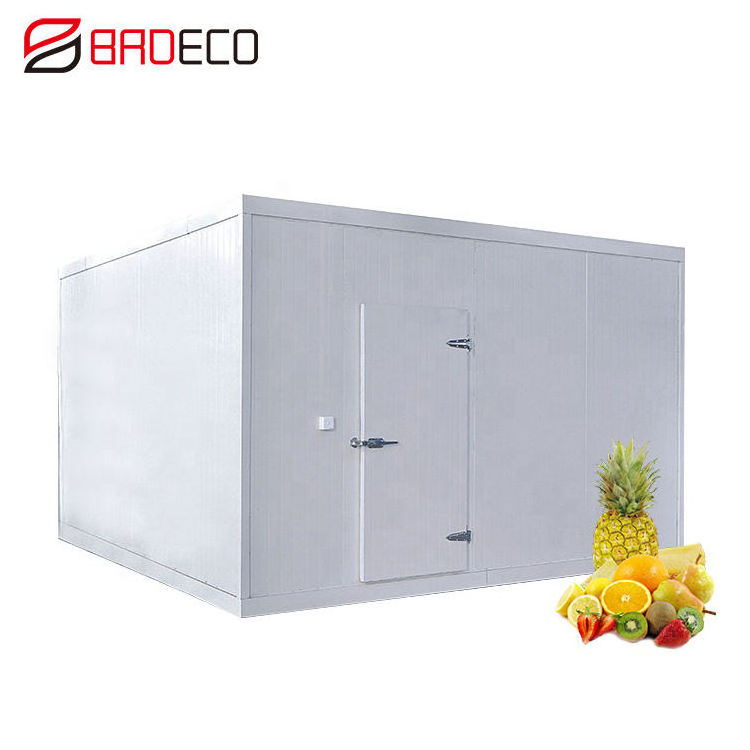 20Ft 40Ft Reefer Container Cold Room For Sale Refrigerated Container Cold Room For Ice