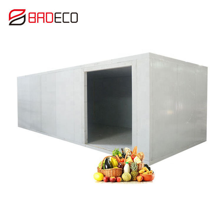 20Ft 40Ft Reefer Container Cold Room For Sale Refrigerated Container Cold Room For Ice