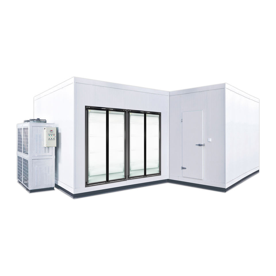 20Ft Mobile Cold Room Refrigeration Unit Cold Room Panel Solar Cold Room For Fish Meat Vegetable