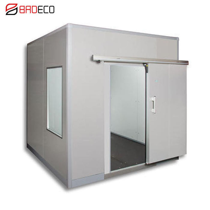 Modular Fish Or Meat Fruit And Vegetables Prefabricated Cold Rooms Solar Cold Room Door Storage Walk In Freezer Room