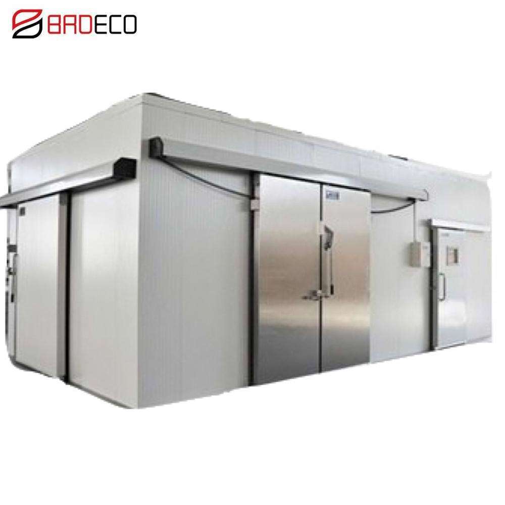 Modular Fish Or Meat Fruit And Vegetables Prefabricated Cold Rooms Solar Cold Room Door Storage Walk In Freezer Room