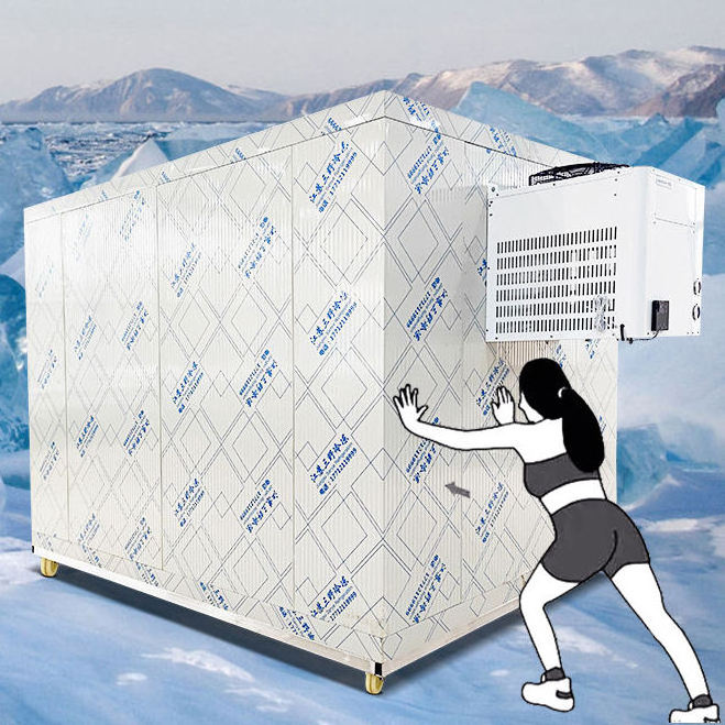 Movable Portable Cold Room Condensing Unit Cooling System/Movable Cold Storage For Cold Room