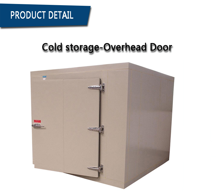 20Ft Mobile Cold Room Refrigeration Unit Cold Room Panel Solar Cold Room For Fish Meat Vegetable