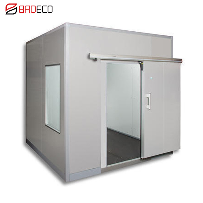 Chicken cold room refrigeration blast freezer for sale