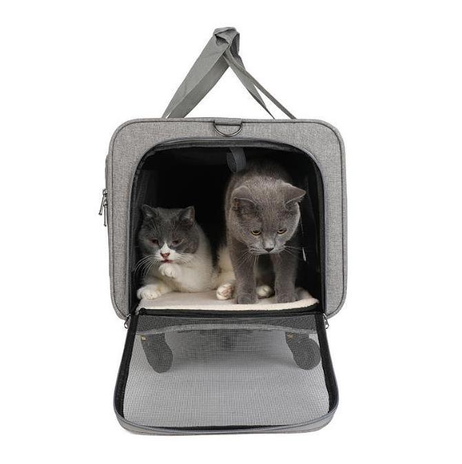 Cat and Dog Airline Approved Rolling Carrier for Small Pets and Cats