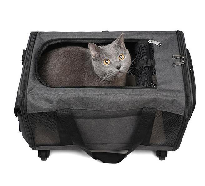 Travel Dog Cat Crate Carrier for Large Cat Small Dog for Vet Visits