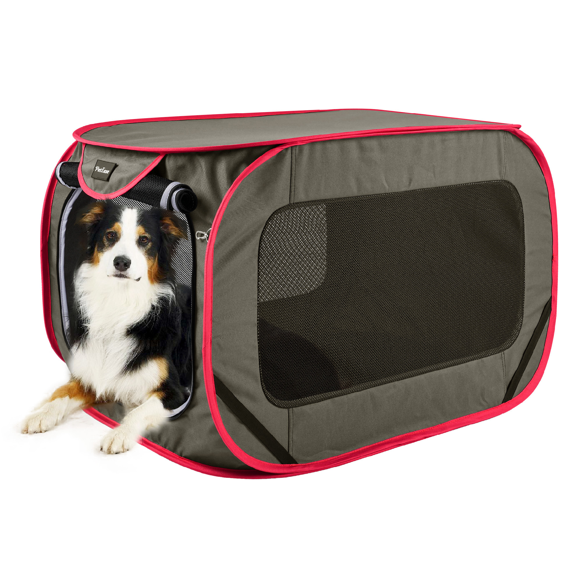 Collapsible Travel Crate Soft Sided Cat Bag Escape Pet Cage Dog Kennels and Crate For Dogs Cats