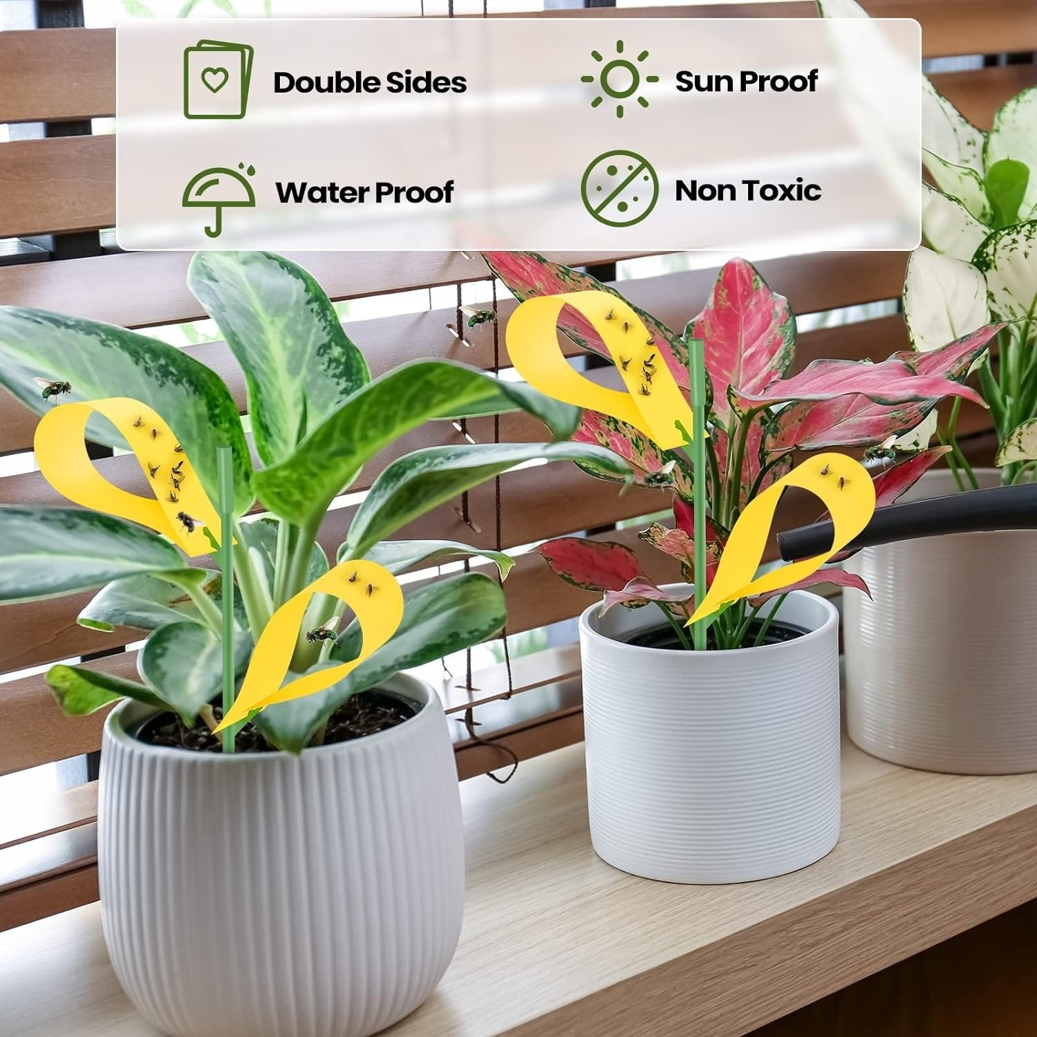 Sticky Houseplant Traps Stakes Yellow Insect Trap Fungus Gnat Sticky Trap for Garden Fruit Flies Mosquito