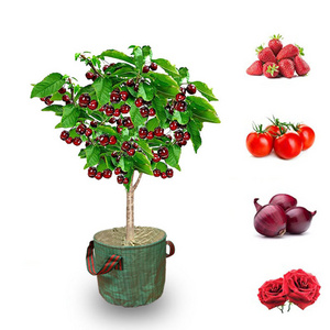 tree cloth grow mushroom fruit protection  making machine recyclable living soil growing bag for garden plant