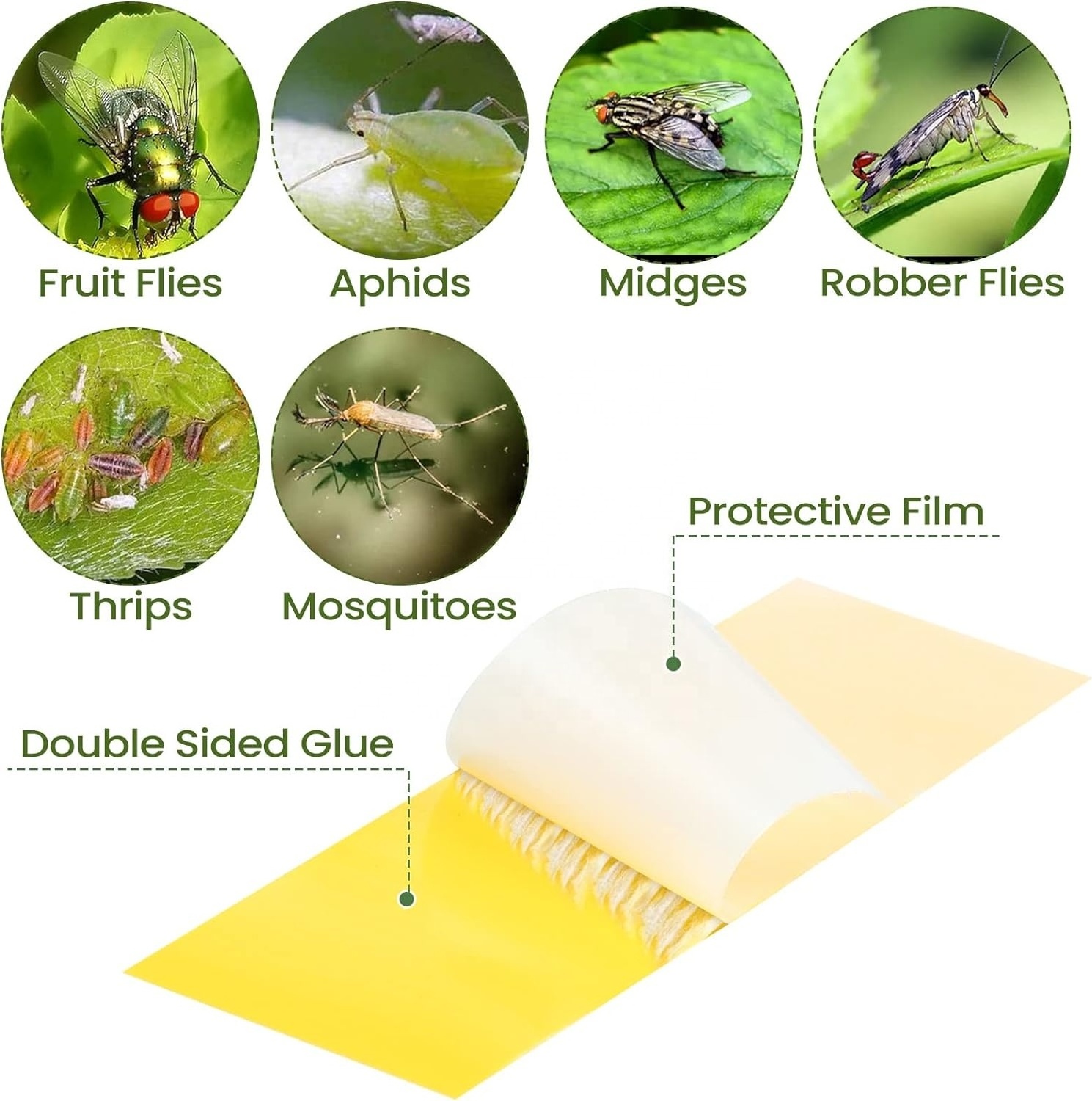 Sticky Houseplant Traps Stakes Yellow Insect Trap Fungus Gnat Sticky Trap for Garden Fruit Flies Mosquito