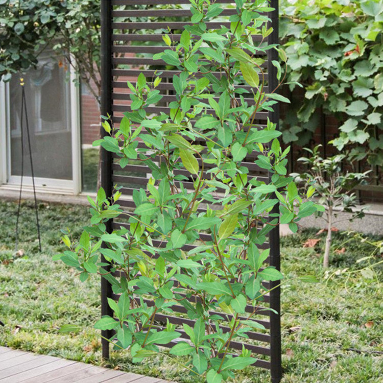 90*60CM Outdoor Adjustable Retractable Garden Border Privacy Fence Decoration Removable Panels Gate Garden Fence