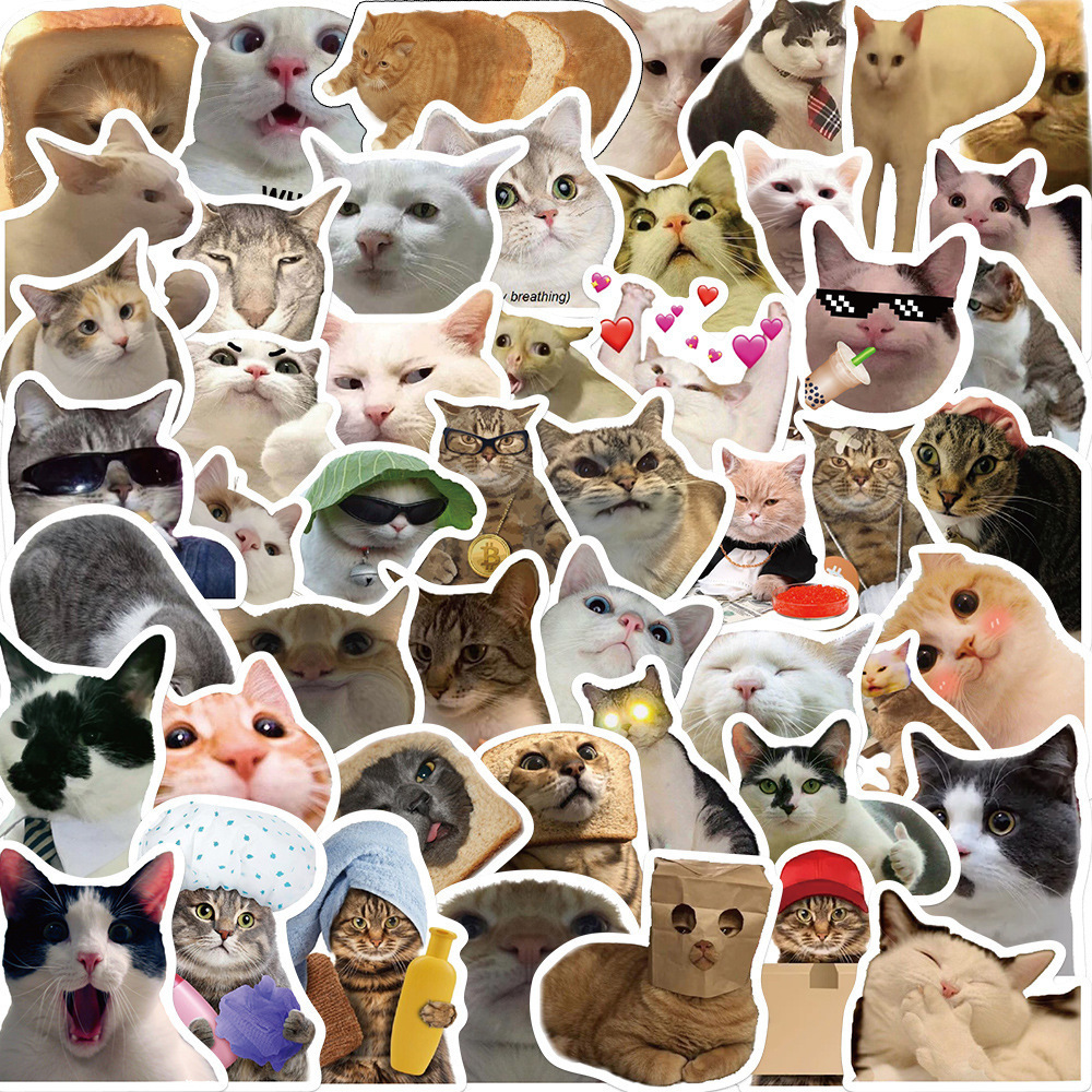 50Pcs Internet Funny Cat Memes Graffiti Stickers For Refrigerator Car Phone Vinyl Cute Kitten Sticker