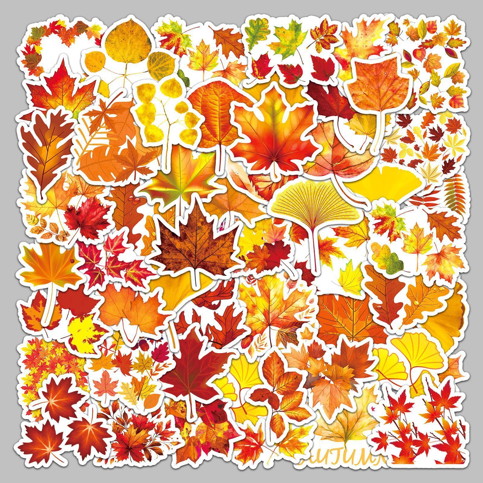 50PCS Multi styles thanksgiving autumn yellow fall leaves maple leaf sticker