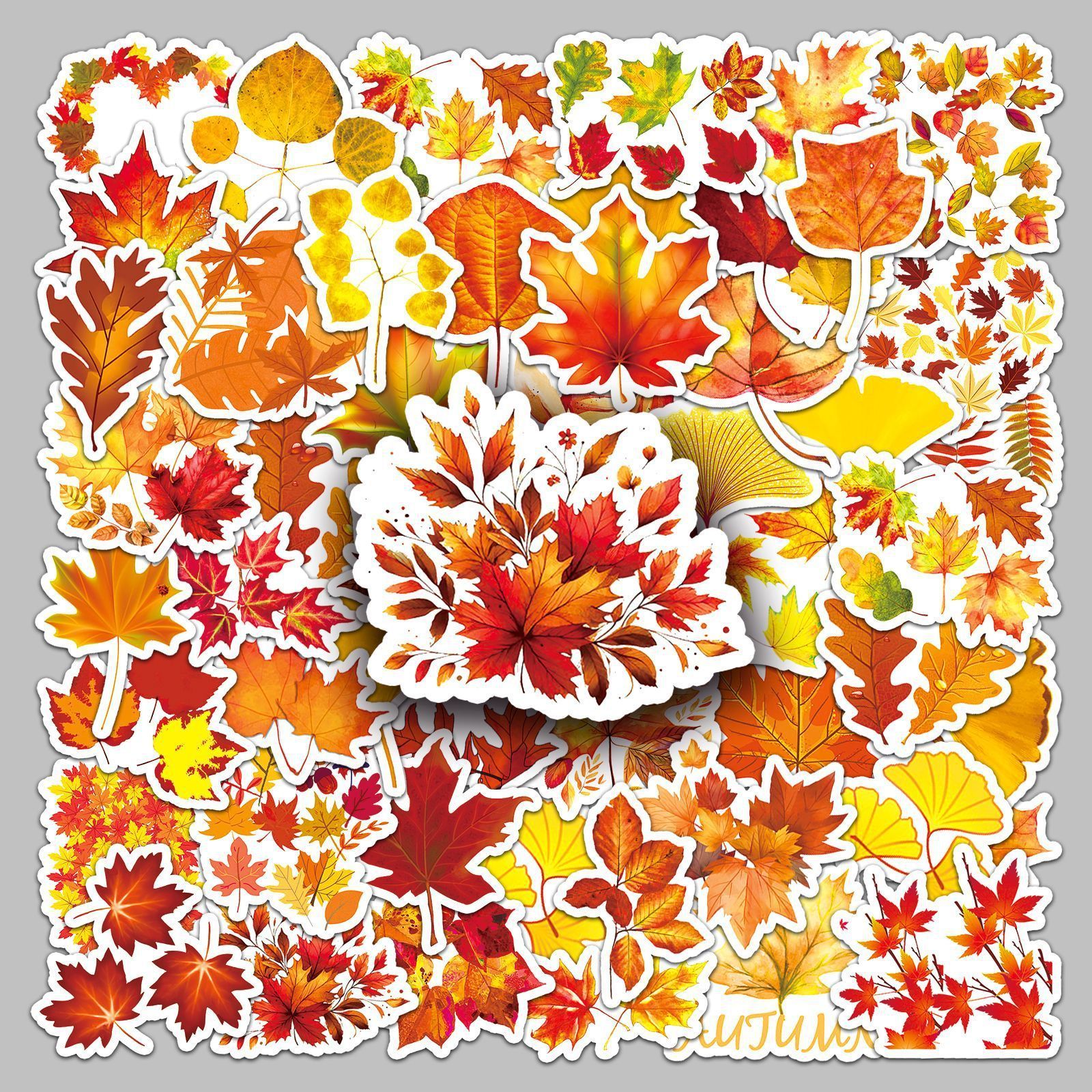 50PCS Multi styles thanksgiving autumn yellow fall leaves maple leaf sticker