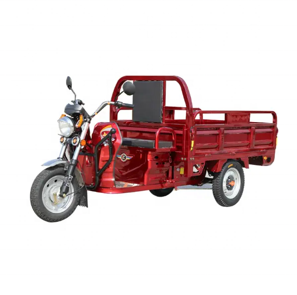 china 3 wheeler cargo electric three wheeler auto rickshaw price