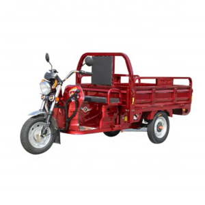 china 3 wheeler cargo electric three wheeler auto rickshaw price