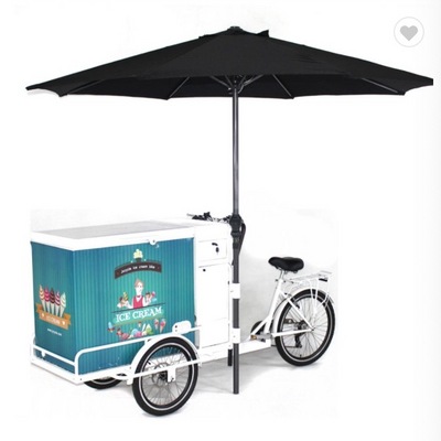 Chinese New Model Electric r pedicab  Tricycle Rickshaw