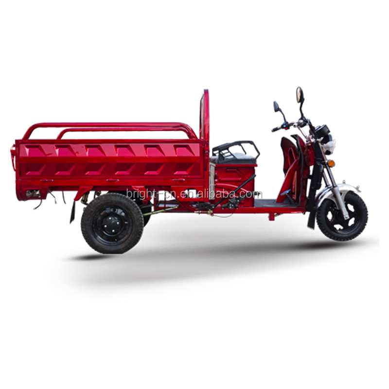 EEC COC certificate cheap and hot sale three wheel electric loading trike electric truck cargo tricycle