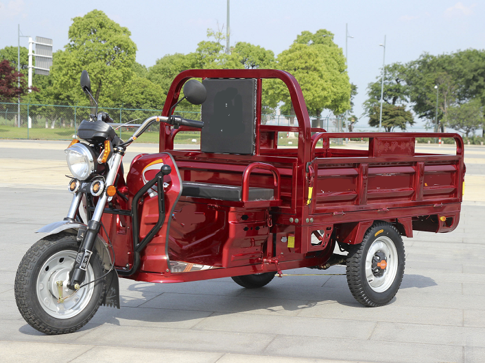 china 3 wheeler cargo electric three wheeler auto rickshaw price