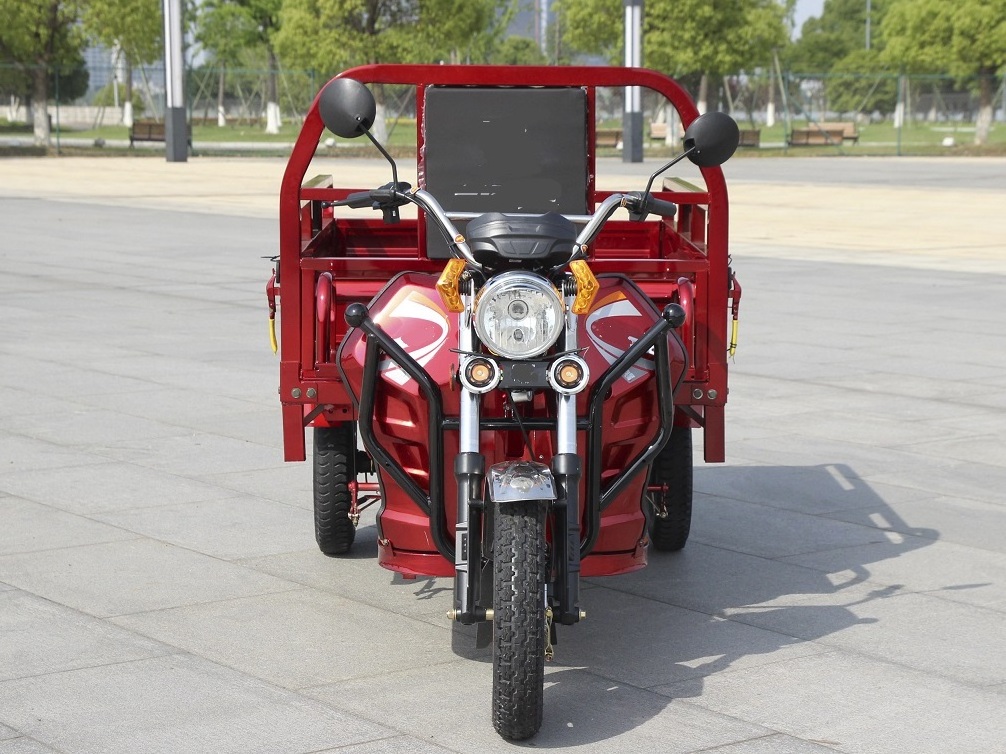 china 3 wheeler cargo electric three wheeler auto rickshaw price