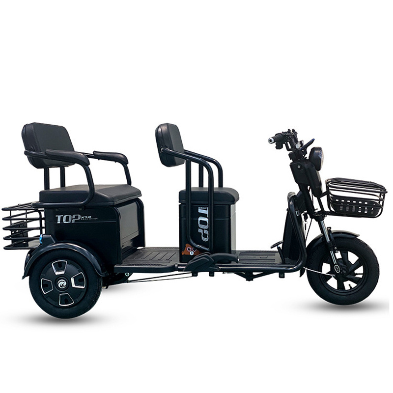 Factory Wholesale Philippines 3 Wheel Adult Passenger Cargo Pedicab Electric Trike